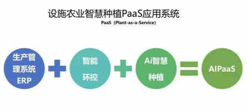 AI賦能農(nóng)業(yè) 回源數(shù)據(jù)采掘未來(lái)行 多驅(qū)整合異構(gòu) |